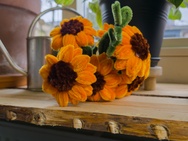 Xiaomi 17 Ultra - 12MP RAW