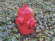 Cameravergelijking - 2x zoom