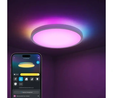 Govee Ceiling Light (Ø 30 cm) verlichting