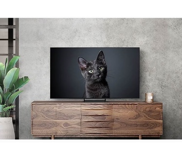 Samsung QE55S90CAT