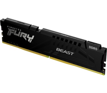 Kingston Beast