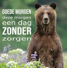 Afbeeldingslocatie: https://tweakers.net/i/retW4lXQHmRHF9CaPow0DJFEcxI=/fit-in/4920x3264/filters:max_bytes(3145728):no_upscale():strip_icc():strip_exif()/f/image/LuvrAF3aCBflzqs20UWZd5vE.jpg?f=user_large