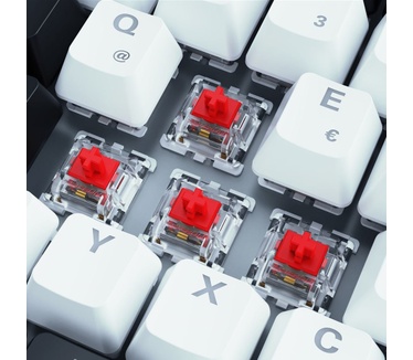 Sharkoon SKILLER SGK50 S3