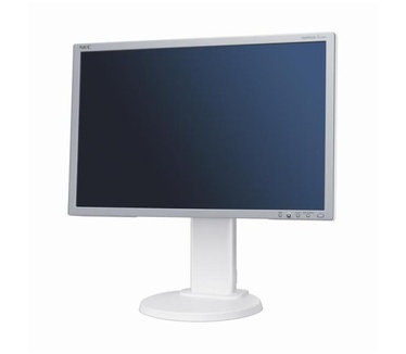 NEC Multisync E222W