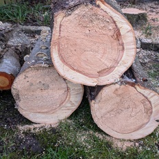 Afbeeldingslocatie: https://tweakers.net/i/rk9pNAVvVLThoOV2LSbeRbfdXu8=/232x232/filters:strip_icc():strip_exif()/f/image/oWhppkgillOSdpbfo83j1KgB.jpg?f=fotoalbum_tile