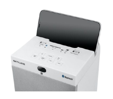 Muse M-1250 BTW