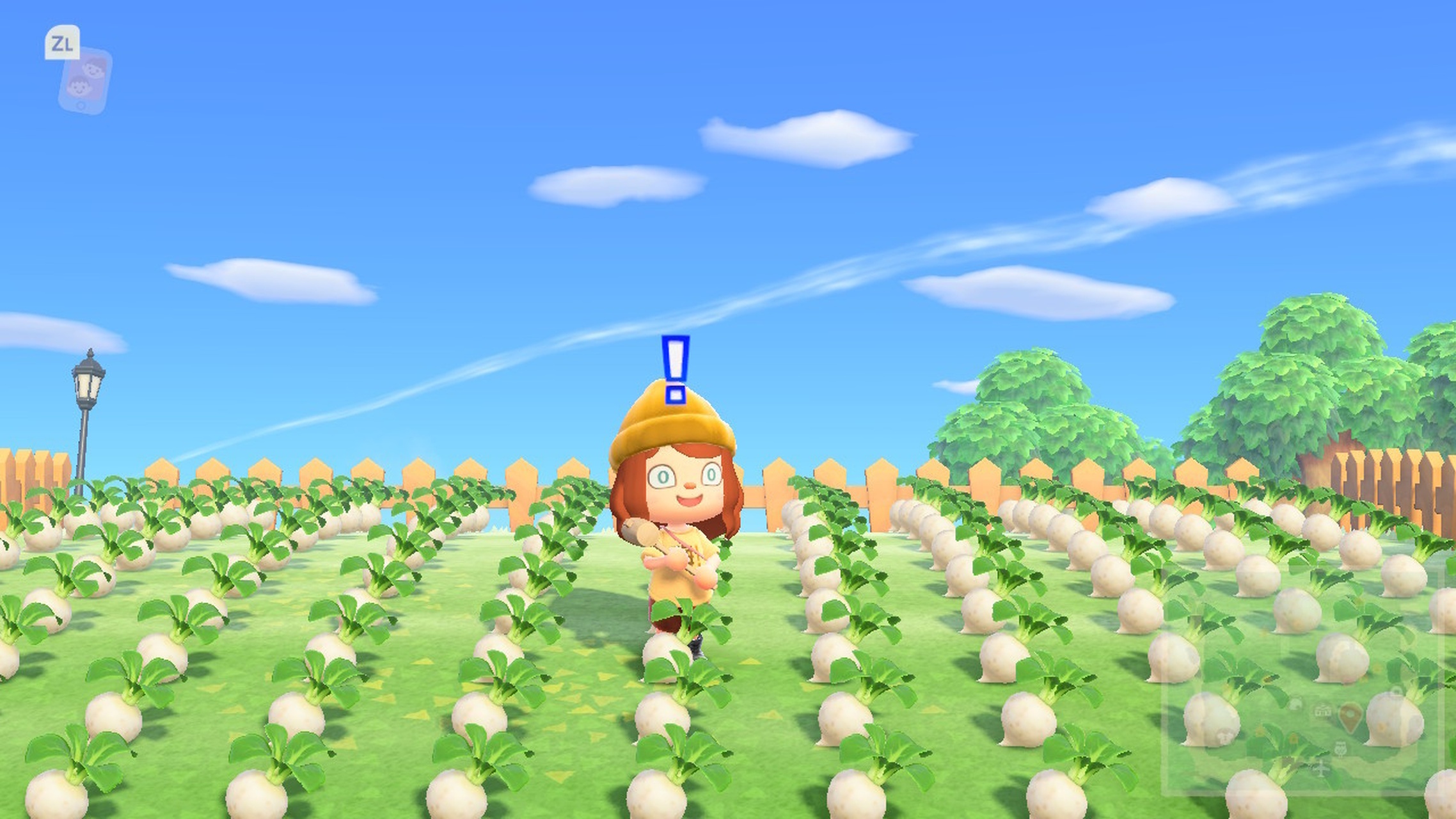 Animal Crossing - turnip-madness