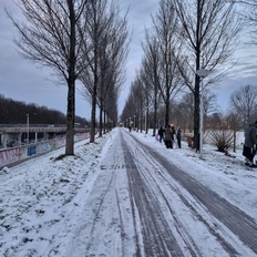 Afbeeldingslocatie: https://tweakers.net/i/rxfRqMoX5_pvRHo4jyq2d48UDpw=/232x232/filters:strip_icc():strip_exif()/f/image/NJXf07tthj8mJ7YOYfA9XFLq.jpg?f=fotoalbum_tile