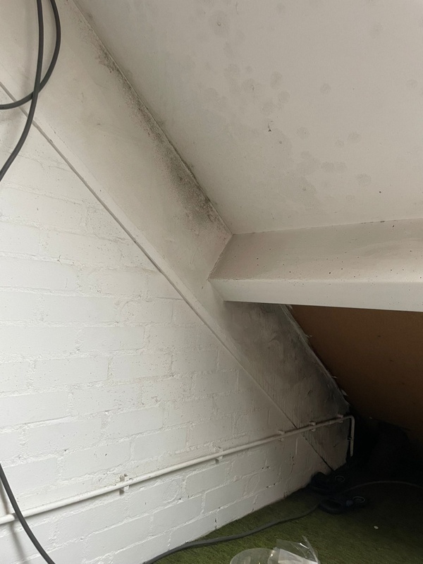 Afbeeldingslocatie: https://tweakers.net/i/s0upKORpBcWufnT9ZvVSY90uZCw=/x800/filters:strip_icc():strip_exif()/f/image/R6xtXIKzDFIt9CFRd5uLe69s.jpg?f=fotoalbum_large