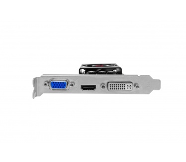 Gainward GeForce GT 610 1024MB