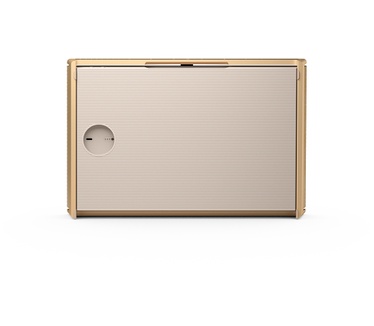 Bang & Olufsen Beosound Level