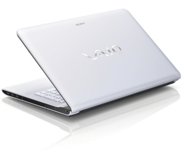 Sony SVE1713A6E (Duits model)