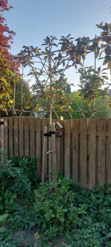 Afbeeldingslocatie: https://tweakers.net/i/s8WImvrAPR5NRK7L1fAdlNp682o=/x800/filters:strip_icc():strip_exif()/f/image/AU4S6gOPpaiTwpTatsyNYe6A.jpg?f=fotoalbum_large