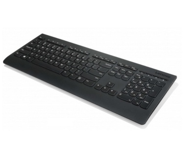 Lenovo Professional