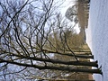 Panasonic Lumix GF1 samples