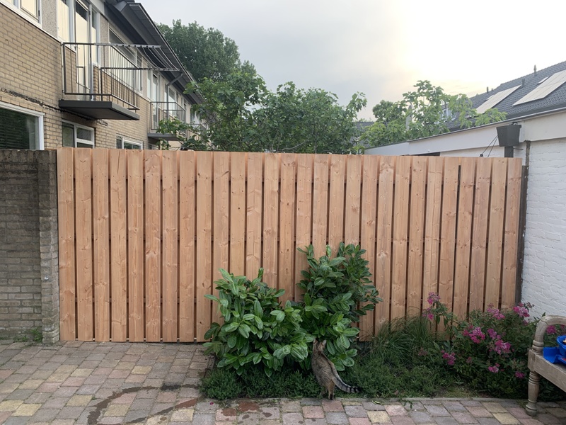 Afbeeldingslocatie: https://tweakers.net/i/sBvk3S_2fnHLZ1VY8PJa0yRFQgc=/800x/filters:strip_icc():strip_exif()/f/image/EFKtouIxlG35vM7lQD4a4CN8.jpg?f=fotoalbum_large