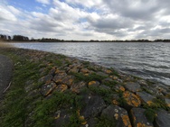 Phone 4a Pro cameratest - Ultragroothoek