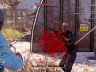 Preview Fallout 76