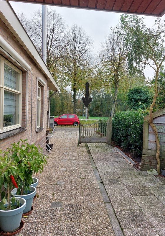 Afbeeldingslocatie: https://tweakers.net/i/sIePD26-_tyLiPuHm4jGuUJQdWU=/x800/filters:strip_icc():strip_exif()/f/image/MRLN7vzErT4Q6IFhmB1iPhfw.jpg?f=fotoalbum_large