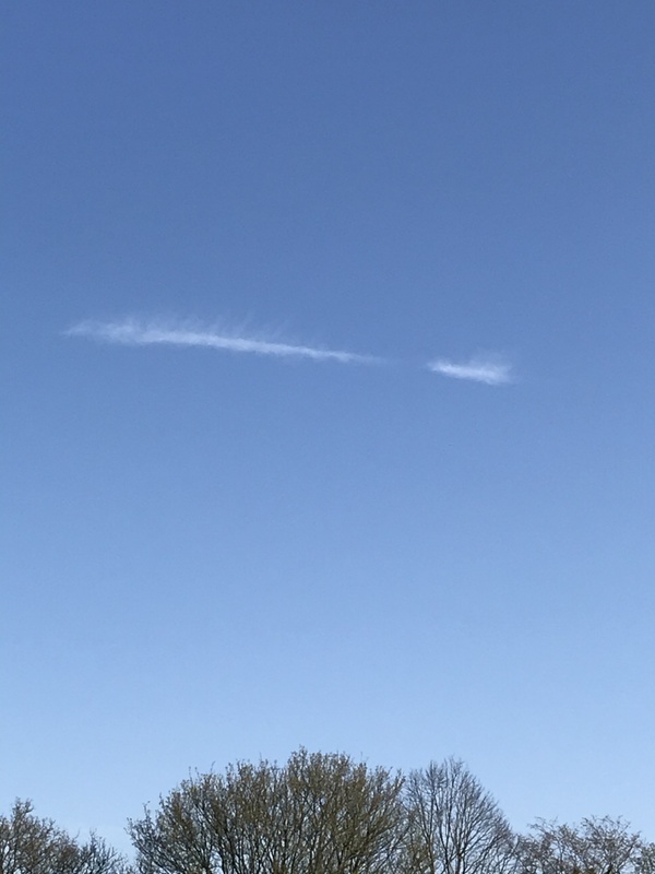 Afbeeldingslocatie: https://tweakers.net/i/sJDxgdNPyxV7O1rfxJNOfjVxxjo=/x800/filters:strip_icc():strip_exif()/f/image/3YF93k0enMF6JgGPvHhA5IOI.jpg?f=fotoalbum_large