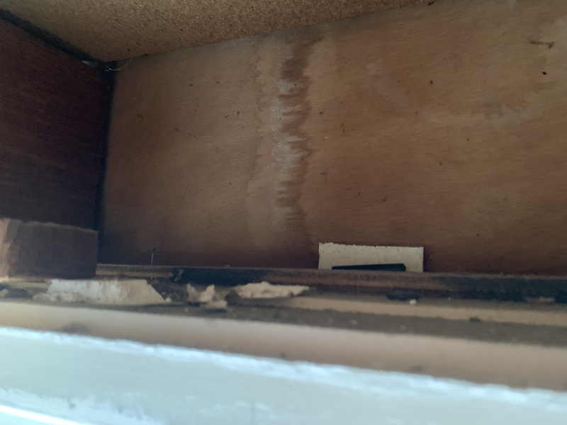 Afbeeldingslocatie: https://tweakers.net/i/sMYrozfJr_8rjoGJpcb7AhNH0L8=/800x/filters:strip_icc():strip_exif()/f/image/Tk1kE28Lfq2HslE6CNrNqU2m.jpg?f=fotoalbum_large