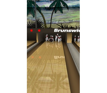 Brunswick Pro Bowling