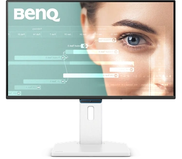 BenQ GW2490TC Zwart