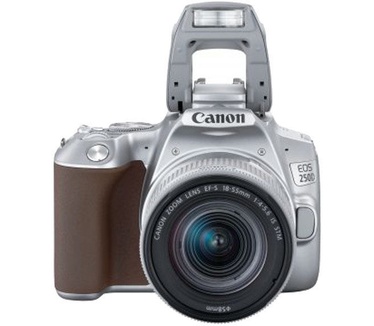 Canon EOS 250D + 18-55mm f/4-5.6 Zilver