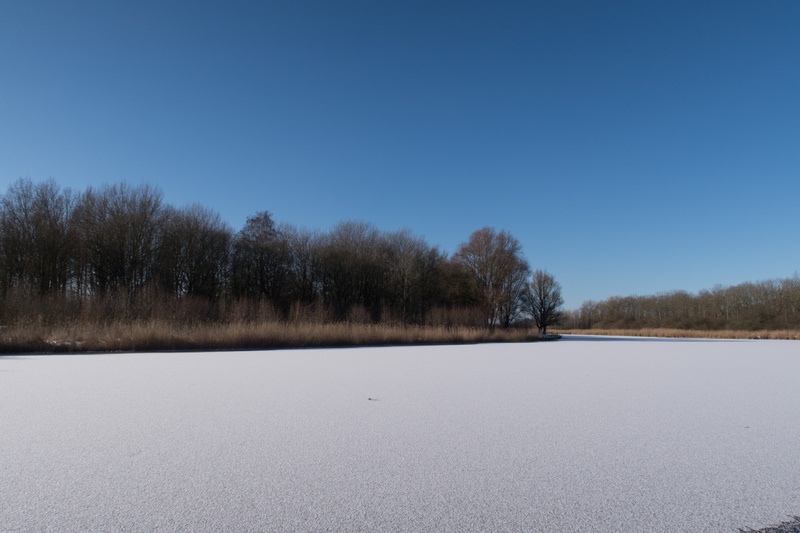 Afbeeldingslocatie: https://tweakers.net/i/sUuimEFCvDyKpqkmlFKWeKfJpsg=/800x/filters:strip_icc():strip_exif()/f/image/hMGnrLWMwfJlqDFhFavgQf3P.jpg?f=fotoalbum_large