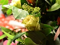 Nikon D7000 samples