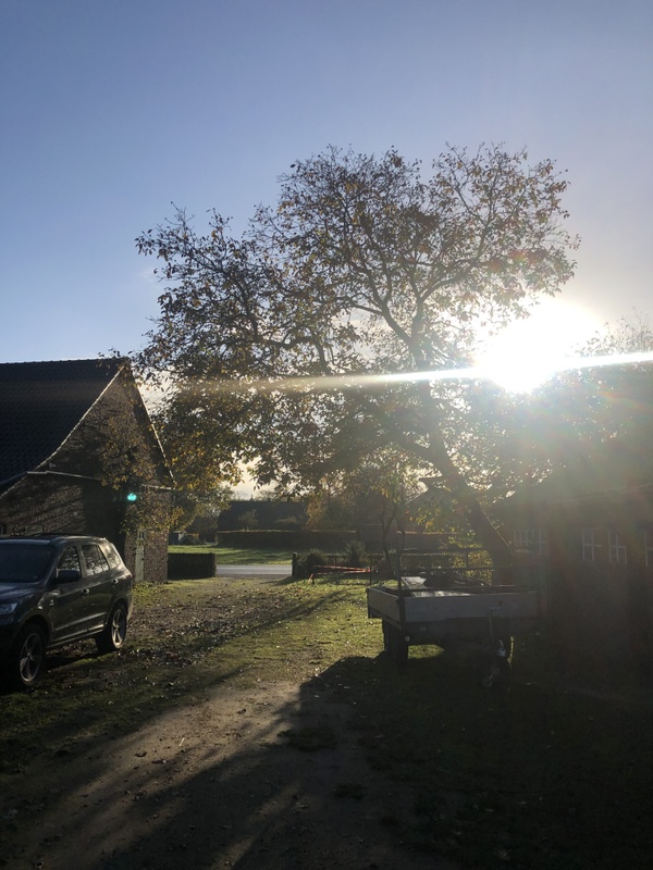Afbeeldingslocatie: https://tweakers.net/i/sWYZfUPSkIXPGPRxJXz04wbmVkU=/x800/filters:strip_icc():strip_exif()/f/image/KP6h0VGfU76xk5uDNOIOgm0a.jpg?f=fotoalbum_large