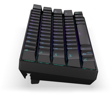 ENDORFY Thock Compact