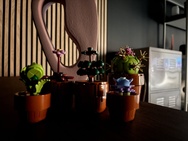 Cameravergelijking - Primair