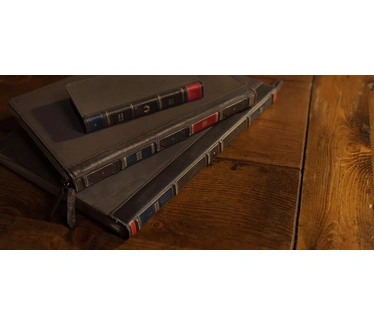 Twelve South BookBook BookBook voor 16 inch Macbook Pro (M1/M2) Bruin
