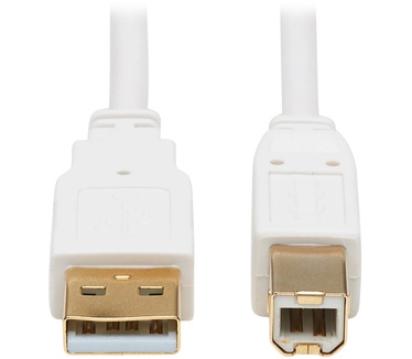 Tripp-Lite U022AB-006-WH
