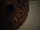 Fotosamples U11 Life