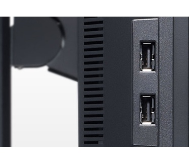Dell Professional P2411H Zwart