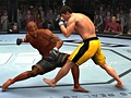 Ultimate Fighting Championship 2009: Undisputed