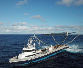 Neuskegel van Falcon 9