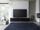 Panasonic EZW1004 EZW954