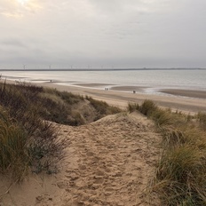 Afbeeldingslocatie: https://tweakers.net/i/sejYLTIP-u-ytkC9PHve49Vn5gA=/232x232/filters:strip_icc():strip_exif()/f/image/eHHgoTodtzHb7inRMUNabscd.jpg?f=fotoalbum_tile