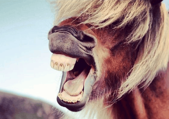 Afbeeldingslocatie: https://tweakers.net/i/sgh0BXAz8I4YmvxzTdwRSyAHRQo=/full-fit-in/4000x4000/filters:no_upscale():fill(white):strip_exif()/f/image/rgTm3OWqcECR395x3mJ0Jfuq.png?f=user_large