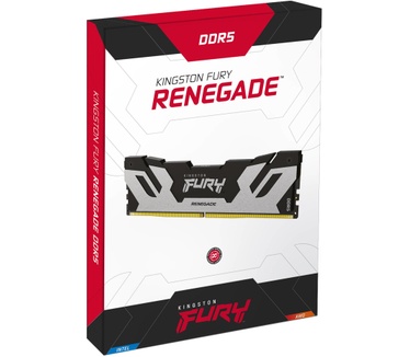 Kingston Renegade