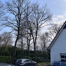 Afbeeldingslocatie: https://tweakers.net/i/sm2ByOz9Y__uzy4XXW5DvD2yN8k=/232x232/filters:strip_icc():strip_exif()/f/image/1Yhh1fMjppMNmCDcnWm4VcNg.jpg?f=fotoalbum_tile