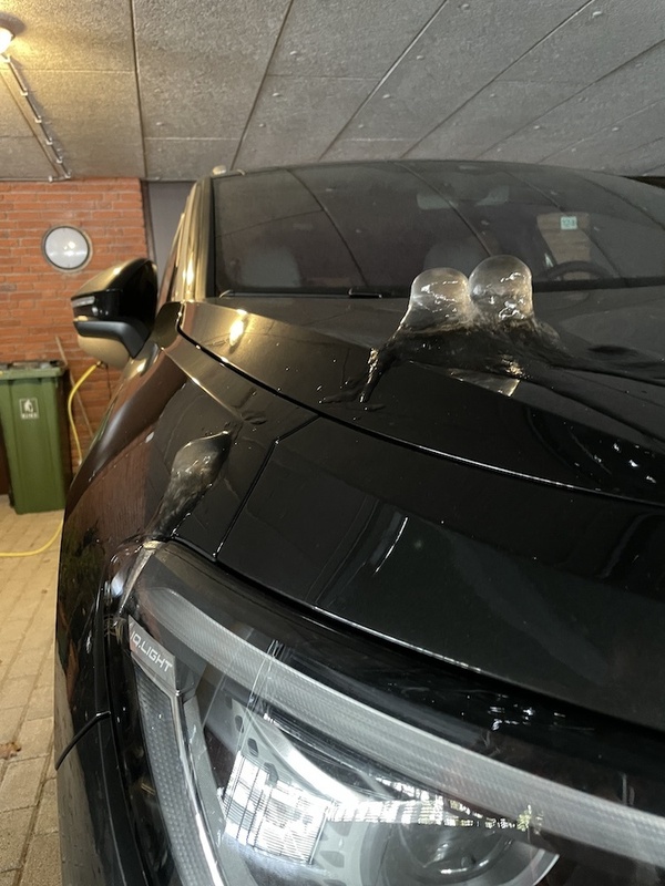 Afbeeldingslocatie: https://tweakers.net/i/sm9lvrWvr_stLxefHxOpj5sLttk=/x800/filters:strip_icc():strip_exif()/f/image/3CsL6DoywSdGCBEP4u4mZRps.jpg?f=fotoalbum_large