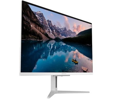 Medion Akoya E27401 All-in One PC (MD61981)