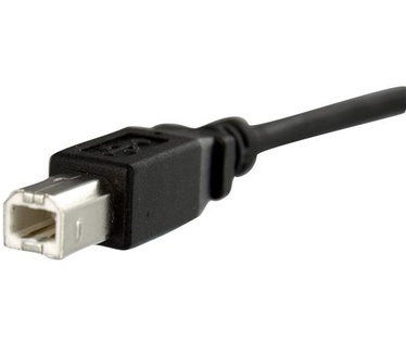 Startech.com 91 cm lange, Paneel gemonteerde USB-kabel B naar B F/M