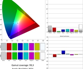 iPad mini (2021) - Schermtests