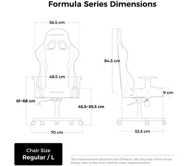 DXRacer FORMULA L Black & White PVC Leather gamestoel
