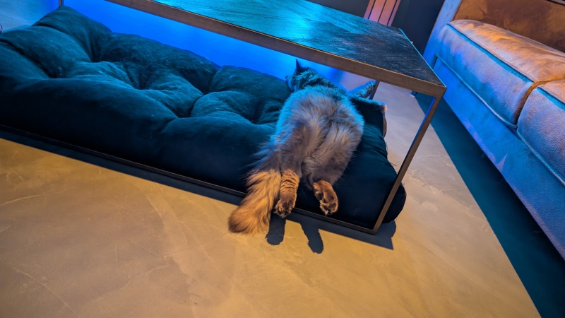 Afbeeldingslocatie: https://tweakers.net/i/ss8pwNkbxZxFXOCb6faBfqiDZqM=/800x/filters:strip_icc():strip_exif()/f/image/3ftPT8RJOEdHhxs7TuaOUGqh.jpg?f=fotoalbum_large